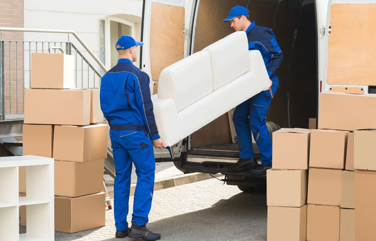 Leo Packers Cargo Movers
